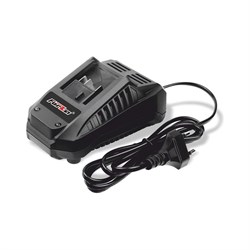 Зарядное устройство Forza ZС79745 - фото 16597281