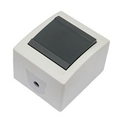 Клавишный однополюсный выключатель Aling-conel POWER - фото 16601883