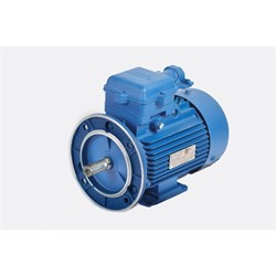 Электродвигатель МЭЗ 4ВР71В2 - фото 16605320