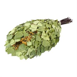 Березовый веник Банные Штучки 32106 - фото 16622031