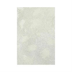 Стеновая панель Центурион lr - фото 16623567