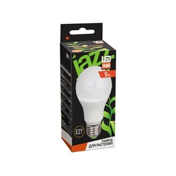 Лампа для растений Jazzway PPG A60 Agro - фото 16636949