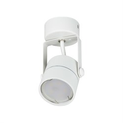 Накладной декоративный светильник Fametto DLC-S610 - фото 16637724