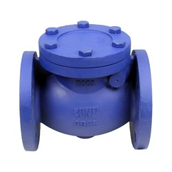 Чугунный фланцевый поворотный обратный клапан DN.ru 302a - фото 16682470