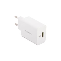 Сетевое зарядное устройство Borofone ba21a long journey - фото 16690082