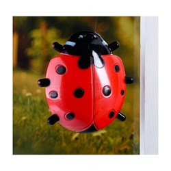 Пластиковый оконный термометр Добропаровъ 4444057 - фото 16703231