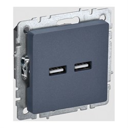 Розетка usb IEK Brite - фото 16812503