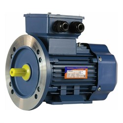 Электродвигатель 5АИ 63 В6 0.25/1000 IM 2081 - фото 16828054