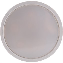 Светодиодная лампа Фарлайт FAR000009 - фото 16830691