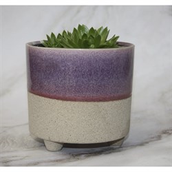 Кашпо SCHEURICH Kübel Piaff sandy purple - фото 16839171