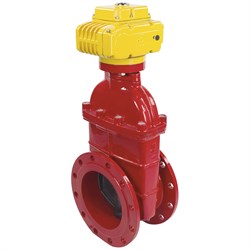 Клиновая задвижка DN.ru 30ч939р -250-16-GGG50-EPDM-F4-RED - фото 16842766