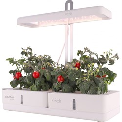 Гидропонная установка CACTUS Garden - фото 16846520