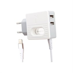 Сетевое зарядное устройство Borofone ba34 power essence - фото 16859242