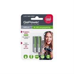 Бытовой аккумулятор GoPower HR03 - фото 16898212