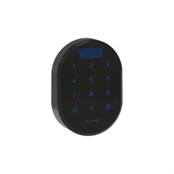 Кодовая панель Armadillo CD.B RT01.02 BL - фото 16928974