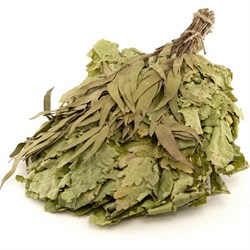 Дубовый веник Банная линия 10-681 - фото 16929931