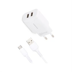 Сетевое зарядное устройство Borofone ba37a speedy - фото 16943836