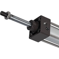 Пневмоцилиндр NBPT 81203 - фото 16949701