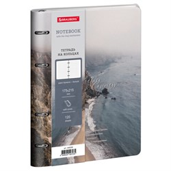 Тетрадь на кольцах А5, 175х215 мм, 120 л., под кожу, BRAUBERG VISTA, "Esthetics", 405208 - фото 17000977