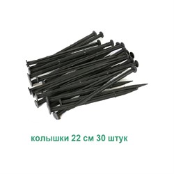 Садовый колышек для бордюрной ленты ГеоПластБорд k240.38.55.30up - фото 17061256