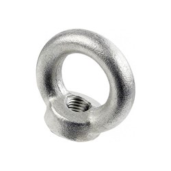 Рым гайка Steelrex 0502008000W100000110 - фото 17074916