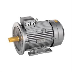 Электронный двигатель oni ONS132-B4-009-2-1521 - фото 17092900