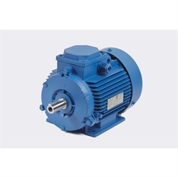Электродвигатель МЭЗ У2-220/380-50IM1081-Р.К.В. К31Е-ААА IE1 Могилев АИР80В8 - фото 17102398