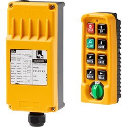 Промышленное радиоуправление A21-E3S 48-456В АС/DC TELECRANE 4687203029135 - фото 17103952