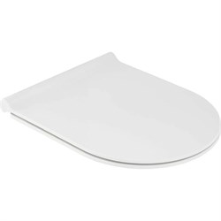 Сиденье Jacob Delafon 00000094012 - фото 17104174