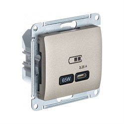 Розетка Systeme Electric USB GLOSSA - фото 17105166