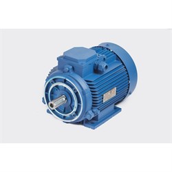 Электродвигатель МЭЗ У2-220/380-50IM2181-Р.К.В. К31Е-ААА IE1 (Могилев) - фото 17111479
