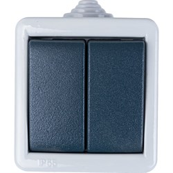 Двухклавишный выключатель Aling-conel ARMOR - фото 17114804