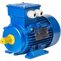 Электродвигатель ЭМШ АИР63А2У1 - фото 17118979