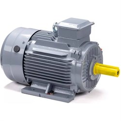 Общепромышленный электродвигатель ESQ PR 160 S4 GST-Б1-S12-IE2 - фото 17149152