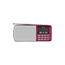 Цифровой радиоприемник Perfeo ЕГЕРЬ - фото 17222978