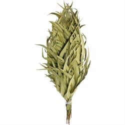 Веник эвкалиптовый ГлавБаня Оригинальный - фото 17226283