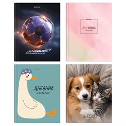 Дневник 5-11 класс 48 л., твердый, BRAUBERG, глянцевая ламинация, с подсказом, "МИКС", 107612 - фото 17262930