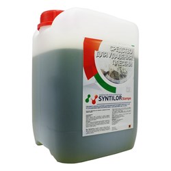 Антиплесень-очиститель Syntilor Stampo - фото 17289349