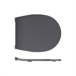 Крышка-сиденье для унитаза ALLEN BRAU Reality - фото 17289616