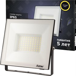 Светодиодный прожектор Ritter Profi - фото 17291061