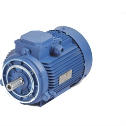 Электродвигатель МЭЗ У2-220/380-50IM3641-Р.К.В. К31Е-ААА IE1 (Могилев) - фото 17291719