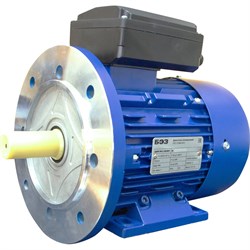 Электродвигатель ТМ БЭЗ АИРЕ - фото 17299931