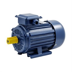 Электродвигатель ТМ БЭЗ АИP 160M2 IM1081 - фото 17300981