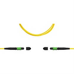 Кабельная сборка TopLan TOP-12M-12M/OS2B-40 - фото 17302345