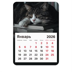 Календарь отрывной на магните на 2026 г., BRAUBERG, 130x180 мм, склейка, "Спящий кот", 117292 - фото 17317112