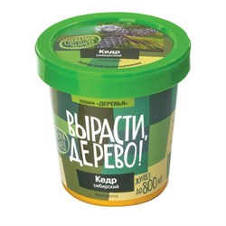 Набор для выращивания растений ВЫРАСТИ ДЕРЕВО! "Кедр Сибирский" (банка, грунт, семена), zk-001 - фото 17342923