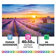 Картина стразами (алмазная мозаика) 40х50 см, ОСТРОВ СОКРОВИЩ "Лавандовое поле", на подрамнике, 662426