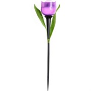 Садовый светильник Uniel Лиловый тюльпан USL-C-453/PT305 PURPLE TULIP