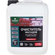 Смывка высолов PROSEPT SALT CLEANER