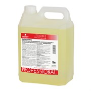 Чистящее средство для обезжиривания поверхностей и удаления стойких запахов PROSEPT Duty Citrus 5л